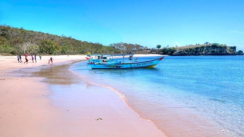 Pantai Pink, Wisata yang Wajib Dikunjungi saat di Lombok
