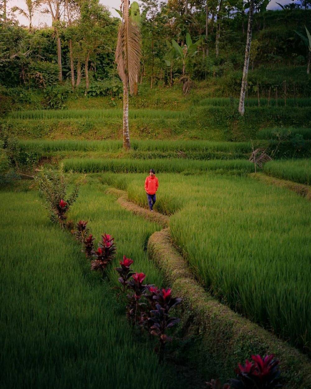 10 Desa Wisata Dekat Sirkuit Mandalika, Magnet Wisatawan