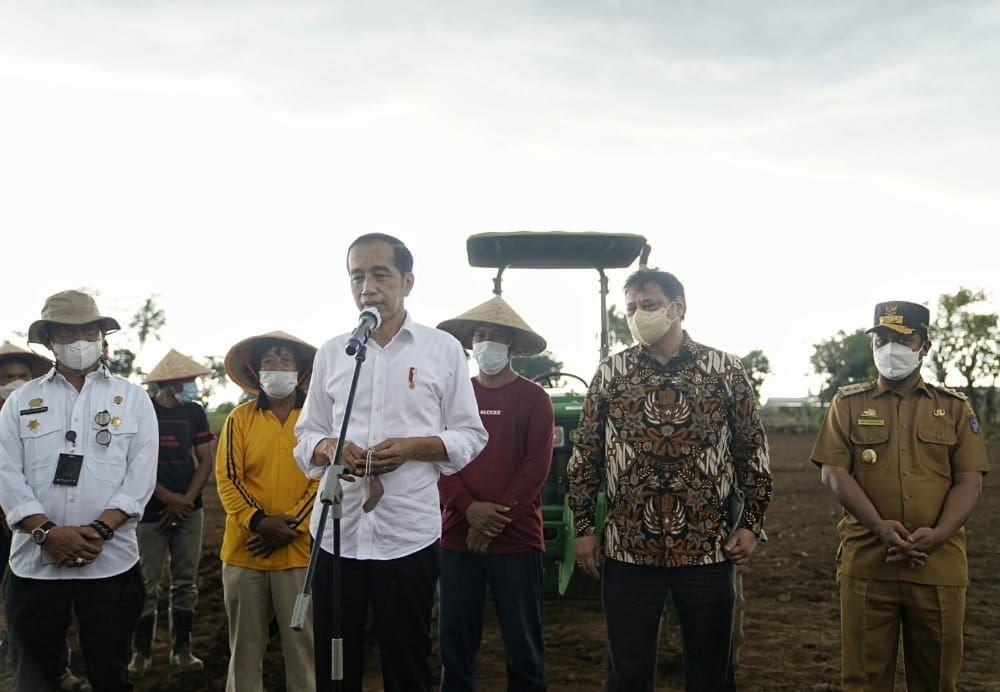 Jokowi Kejar Produksi 1,8 Juta Ton Jagung dari Sulsel