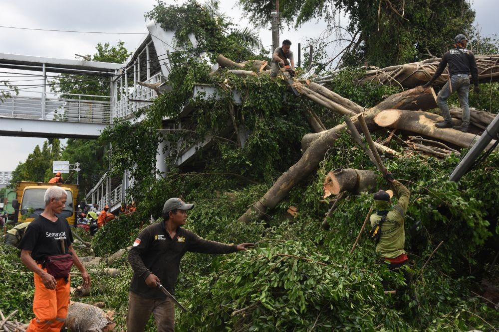 Antisipasi Cuaca Ekstrem, Pemkot Tangerang Tebangi Pohon