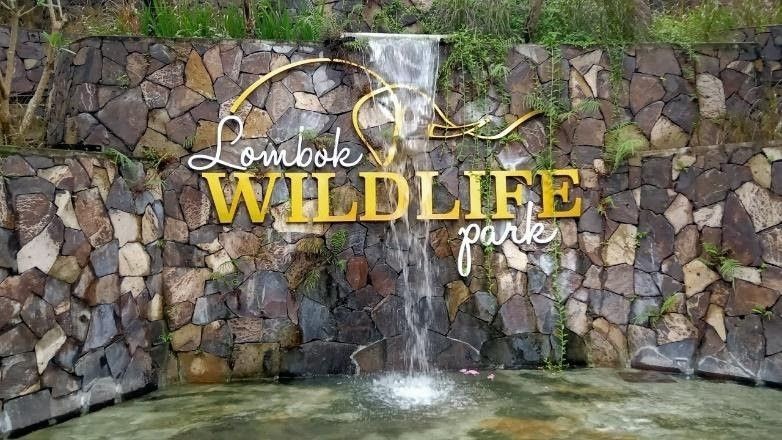 Melihat Aneka Satwa di Lombok Wildlife Park