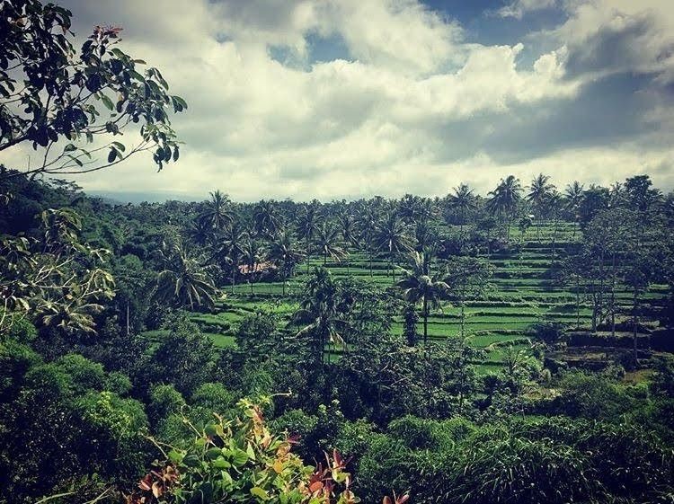 Rekomendasi Destinasi Wisata Ciamik yang Ada di Lombok Timur