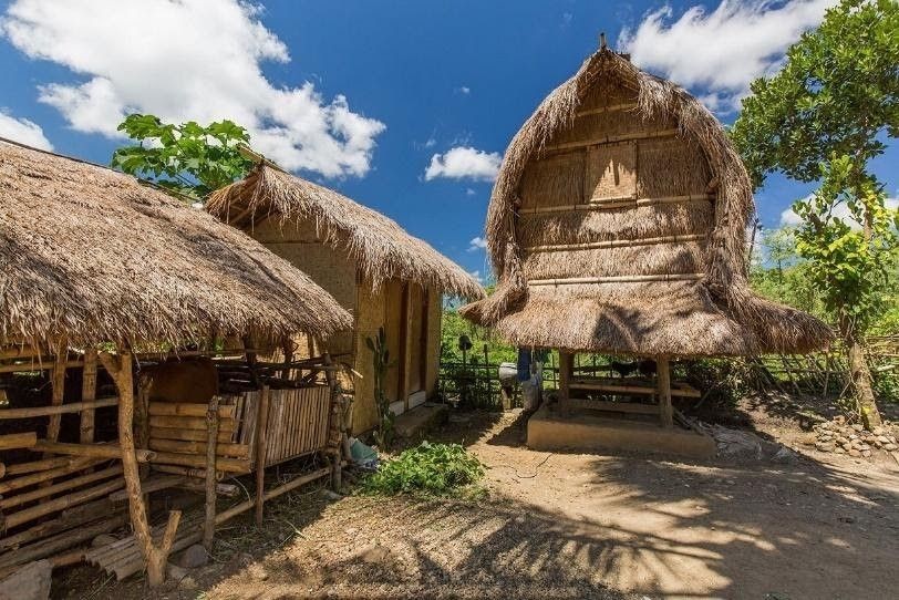 Rumah Adat Asli NTB, Ada Tempat Menyimpan Padi Hingga Rumah Raja