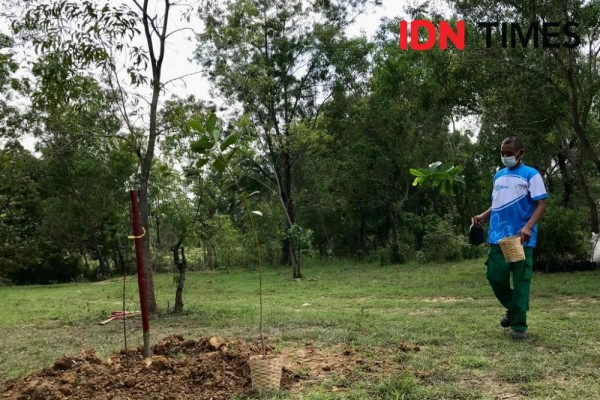 Koleksi Kardus Bekas Dapat 1.000 Pohon, Untuk Lahan Kritis di Rembang