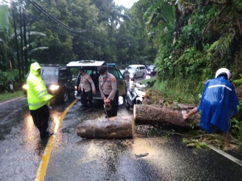7 Langkah Antisipasi Kabupaten Buleleng Hadapi Bencana Dampak La Nina