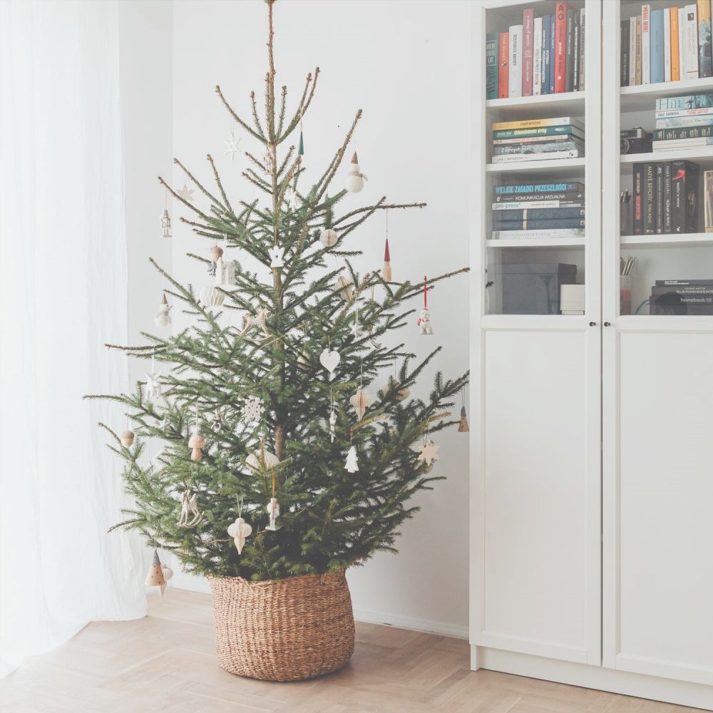[QUIZ] Kami Akan Tebak Kebahagiaan Terbesarmu dari Pilihan Pohon Natal Ini