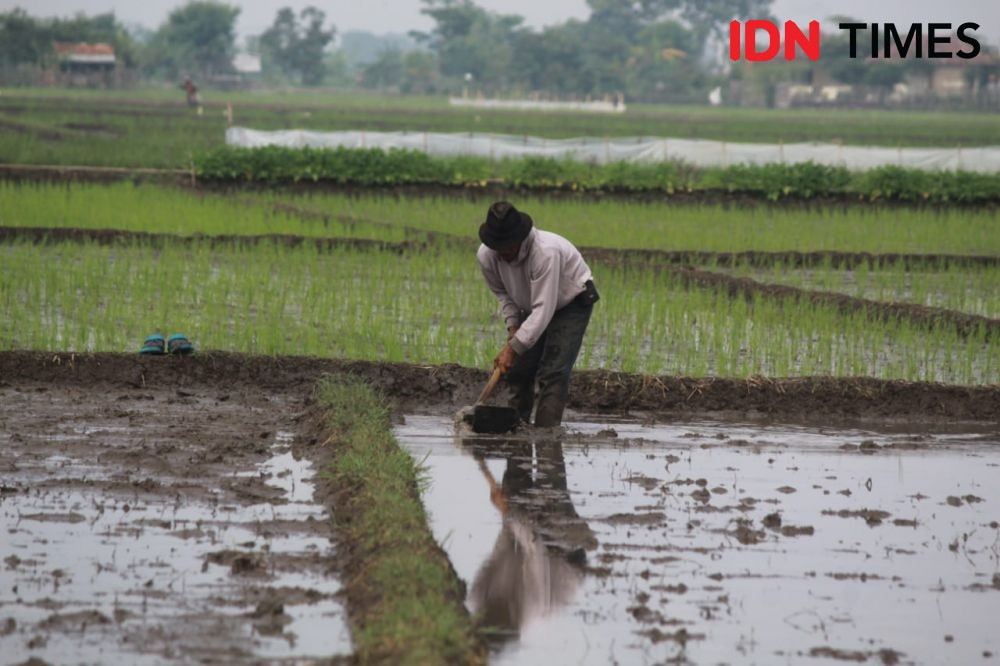 Petani Kab. Bandung Minta Pemerintah Fasilitasi Teknologi Pertanian