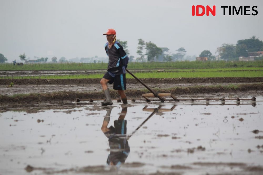 Petani Kab. Bandung Minta Pemerintah Fasilitasi Teknologi Pertanian