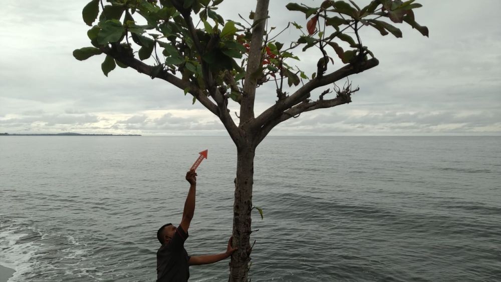 Terlilit Hutang, Seorang Wanita di Lombok Tewas Gantung Diri