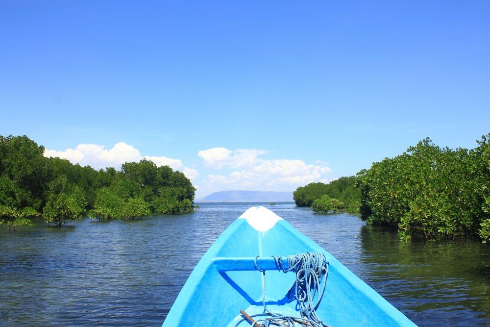 Menjelajahi Hutan Bakau Gili Petagan Lombok Bagai di Hutan Amazon