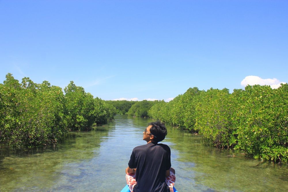 Menjelajahi Hutan Bakau Gili Petagan Lombok Bagai di Hutan Amazon