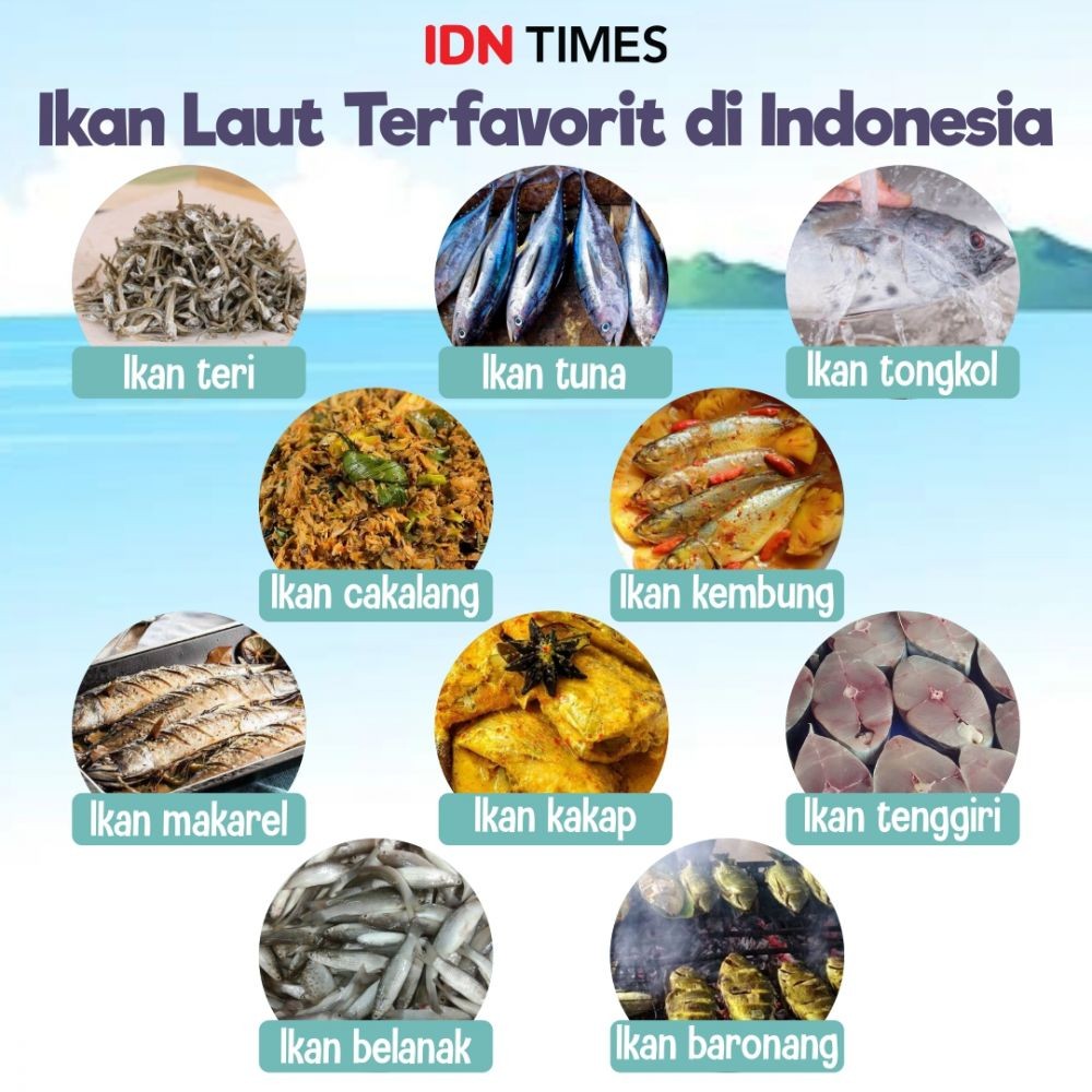 10 Ikan Laut Yang Paling Sering Dikonsumsi Di Indonesia