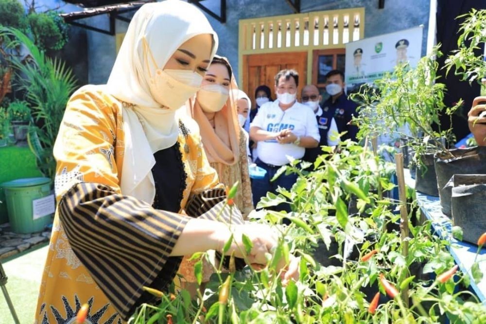 Gerakan Sumsel Mandiri Pangan, Ajak Warga Produksi Pangan di Rumah