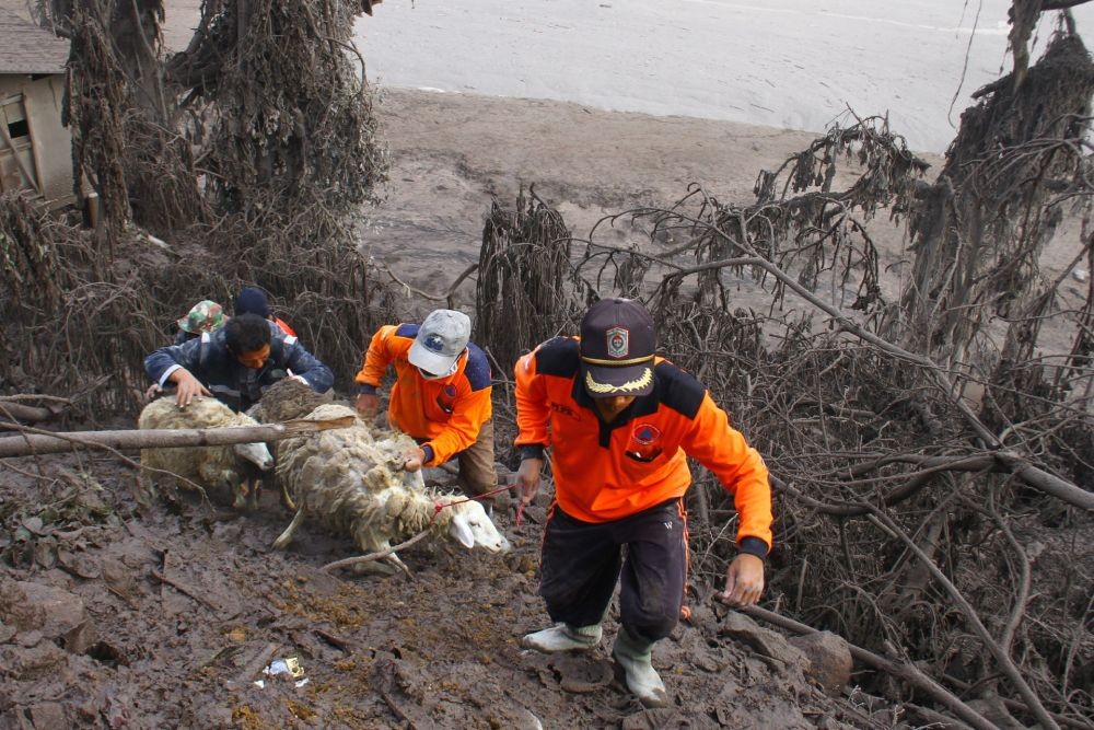 Hari Ini Sudah 6 Jenazah Dievakuasi dari Pasir Erupsi Gunung Semeru