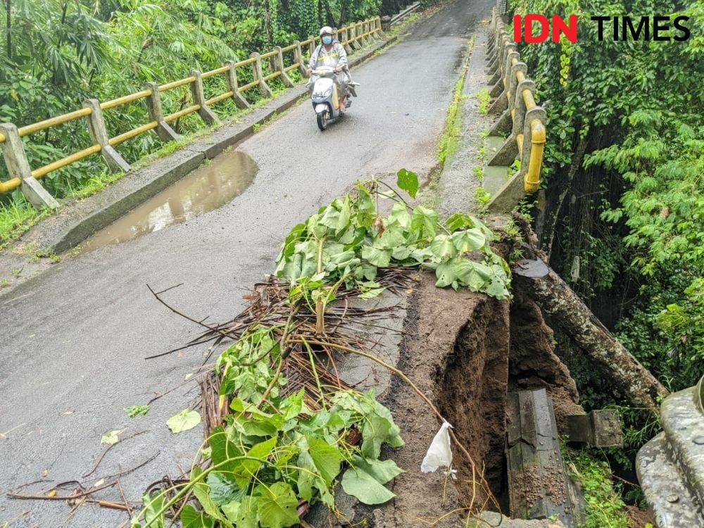 Hujan Deras di Klungkung Menyebabkan Pohon Tumbang dan Jembatan Jebol