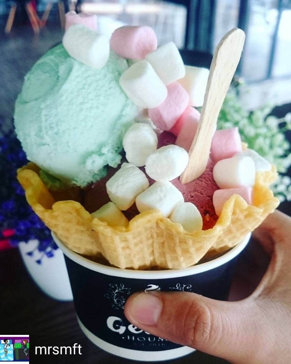 Gelato House Lampung, Review, Menu, Harga Es Krim Italia Bikin Ngiler