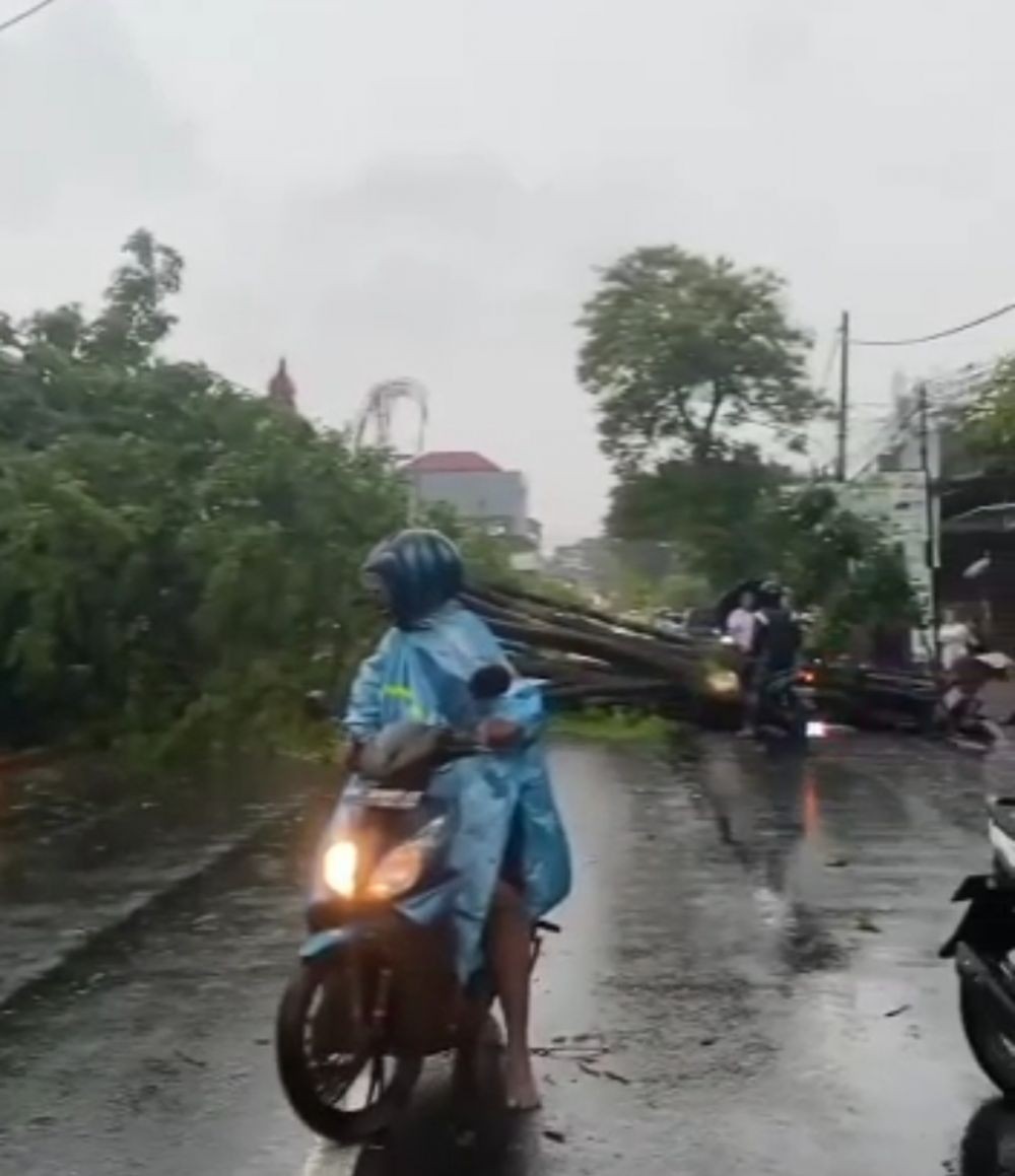 11 Potret Dampak Hujan Lebat di Bali, Banjir Hingga Longsor