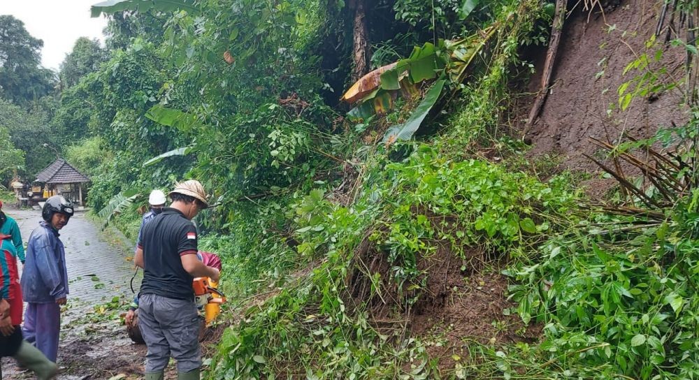 11 Potret Dampak Hujan Lebat di Bali, Banjir Hingga Longsor