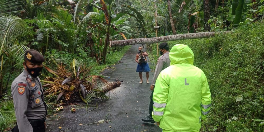 Hujan Deras di Klungkung Menyebabkan Pohon Tumbang dan Jembatan Jebol