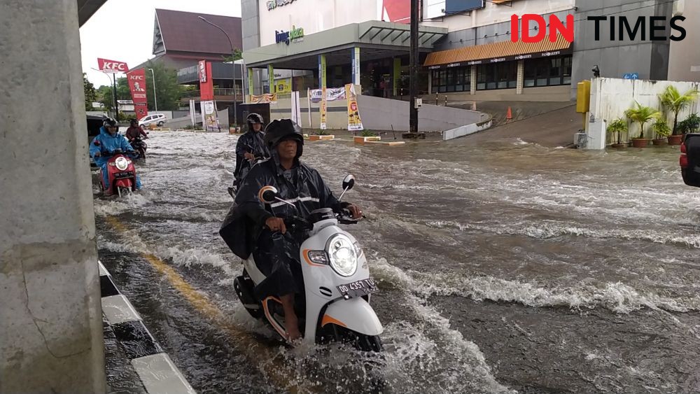 Ngeri! Ular Sanca 4 Meter Muncul di Pemukiman saat Banjir di Makassar