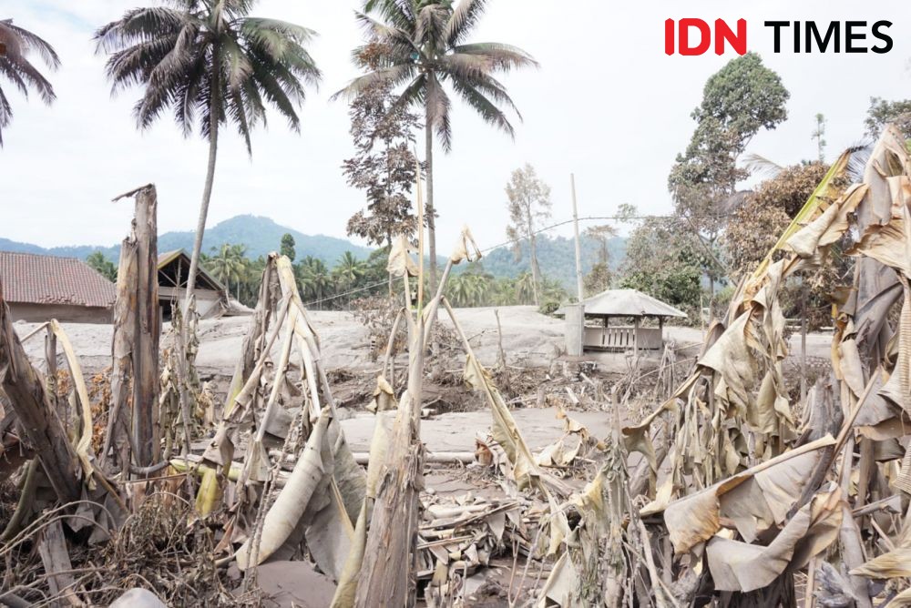 Hunian Baru Korban Erupsi Semeru di Lahan 90 Hektar Segera Dibangun