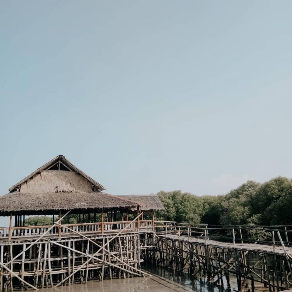Rencana Taman Komodo di Surabaya, DPRD Sebut Bisa Mendongkrak Wisata 