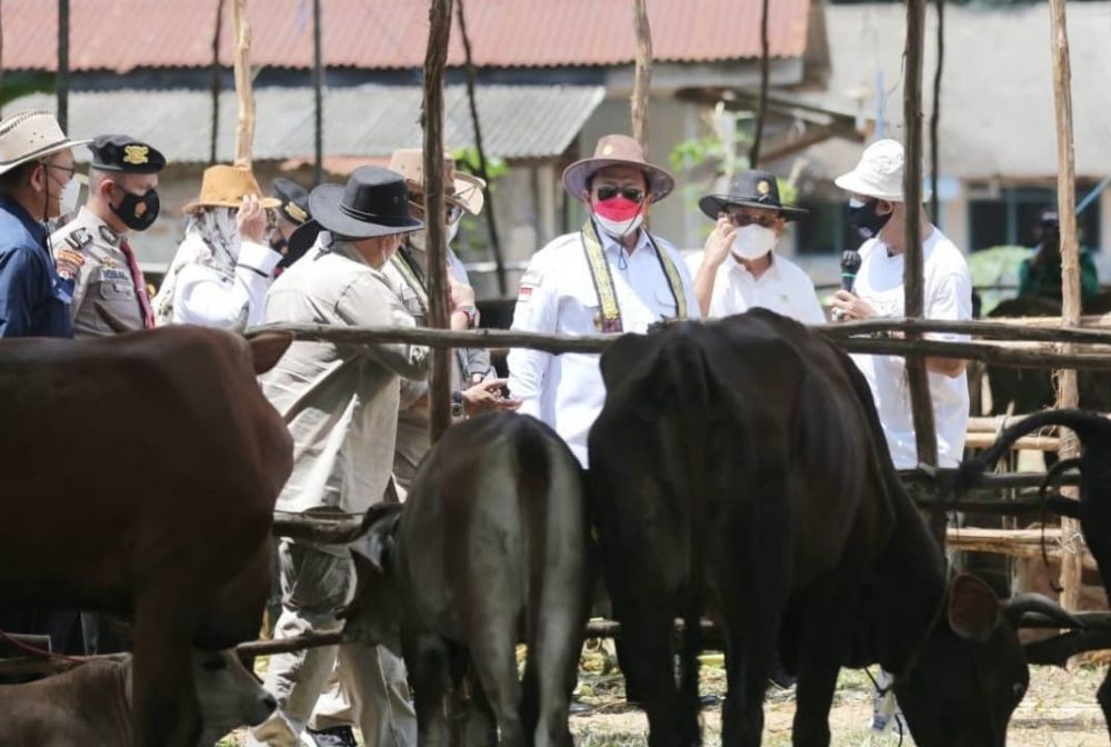 Mentan Syahrul: Lampung Bisa jadi Embarkasih Lawan Impor Daging