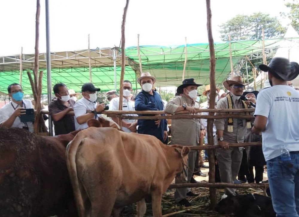 Mentan Syahrul: Lampung Bisa jadi Embarkasih Lawan Impor Daging