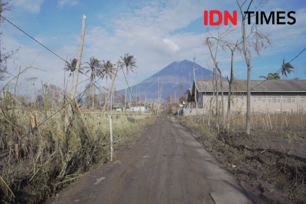 Tinggal di Kaki Semeru, Penuh Berkah Tapi Waswas Musibah