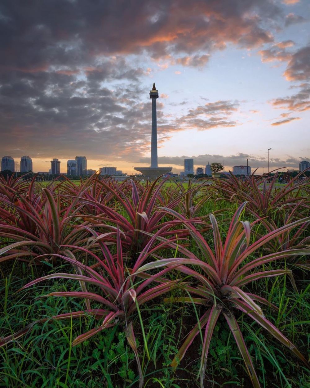 Jangan Ngaku Orang Jakarta kalau Belum Pernah ke 10 Wisata Ini!