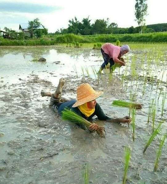 10 Potret Posisi Orang Lagi Rebahan Ini Bikin Ngakak