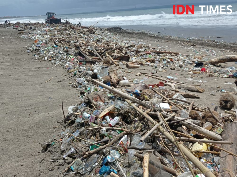 Pantai Berawa Bali Penuh Sampah Kiriman, Volume Sampai 400 Ton
