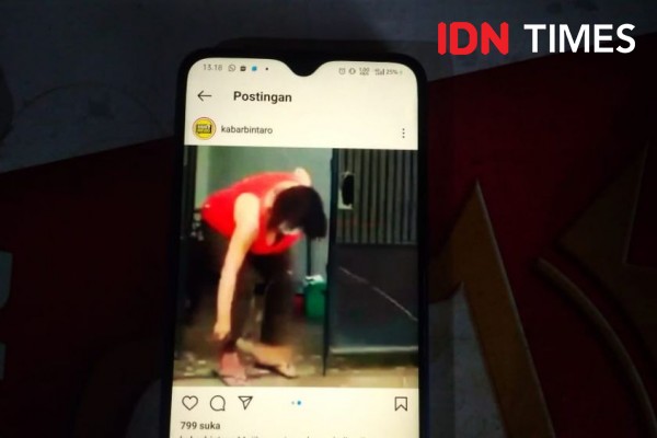 Viral Penganiayaan Anjing di Cipondoh, Pelaku Dipolisikan