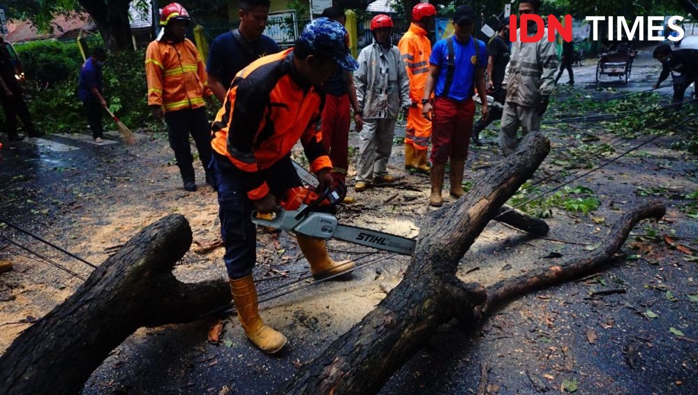 Angin Kencang Picu Pohon di Kota Tangerang Tumbang dan Patah Dahan