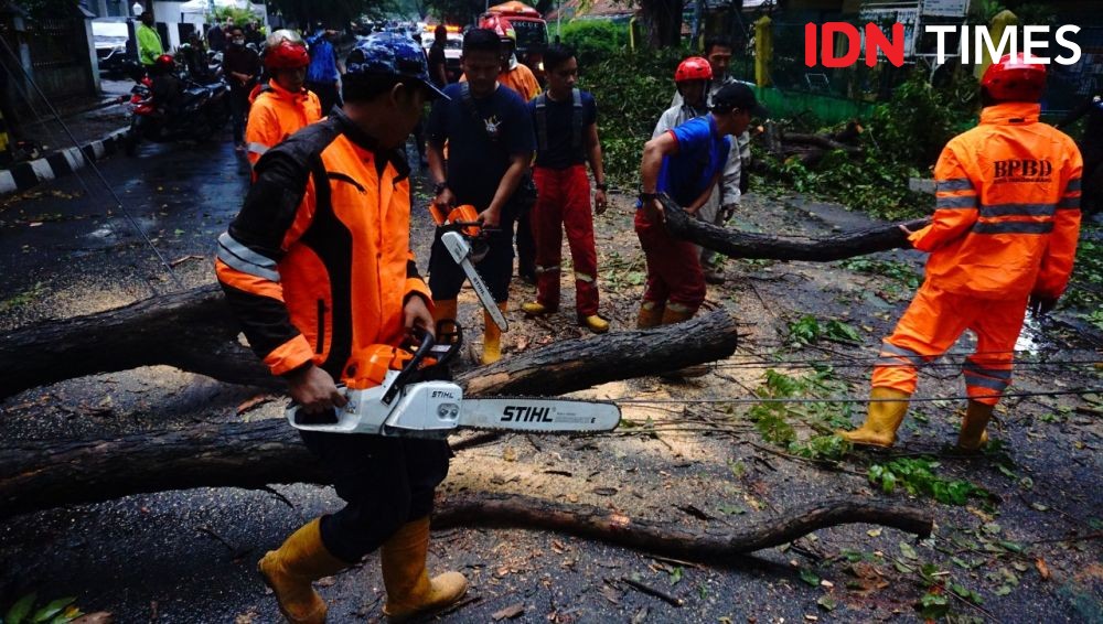 Angin Kencang Picu Pohon di Kota Tangerang Tumbang dan Patah Dahan