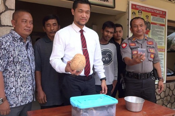 Kasus Video Kucing Minum Ciu, Terdakwa Divonis 3 Bulan Penjara