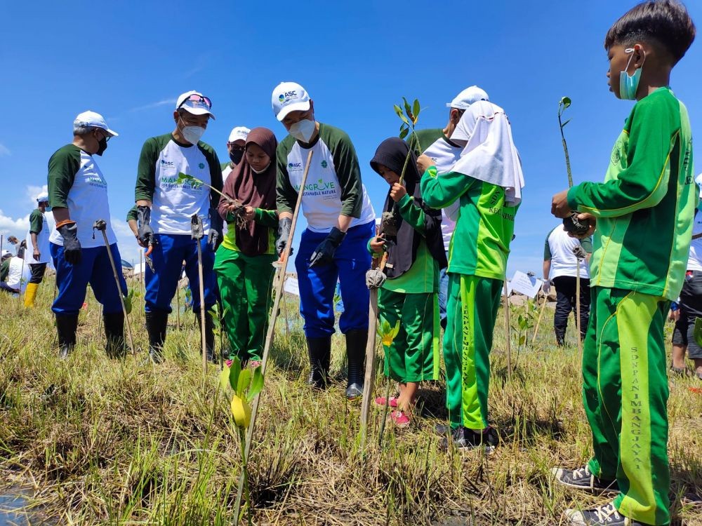 Mitigasi Bencana, 2 Ha Pantai di Pandeglang Ditanami Mangrove 