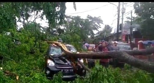 Hujan Angin Kencang Picu Belasan Pohon  Tumbang di Kota Tangerang