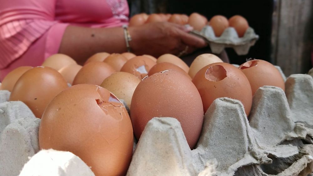 Harga Telur Tulungagung Tembus Rp30 Ribu per Kg, Warga Pilih Sortiran