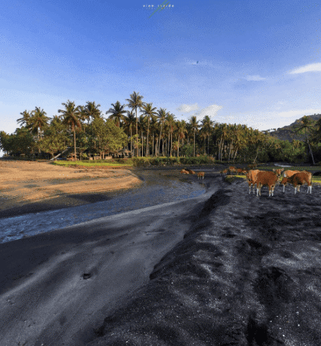 Menikmati Keindahan Pantai Kerandangan di Lombok