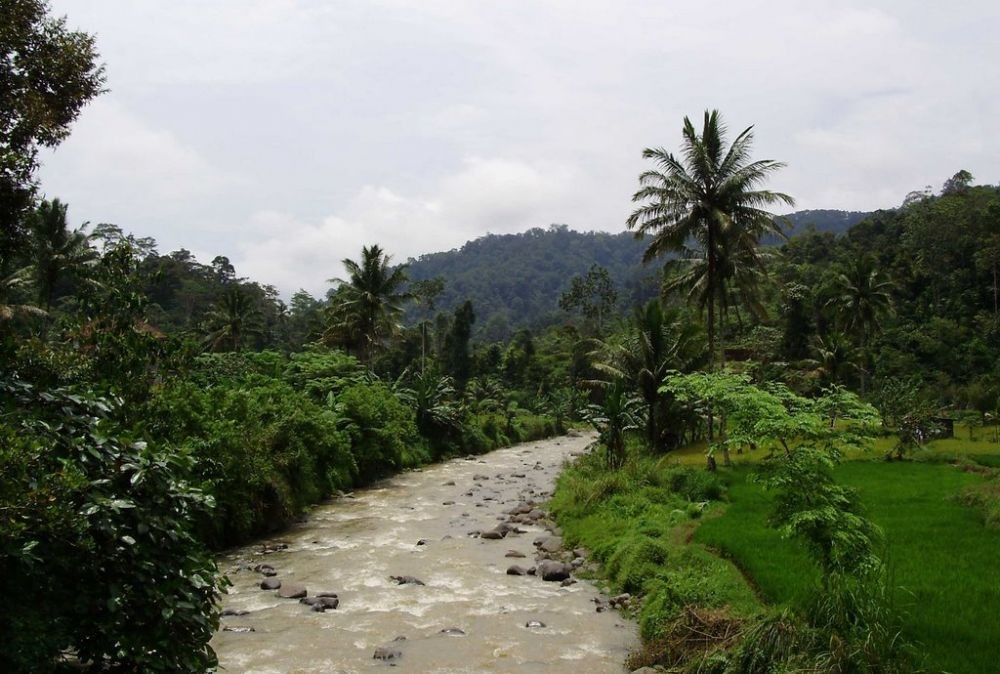 6 Tempat Wisata Alam Hits di Lampung Barat, Meneduhkan Jiwa!
