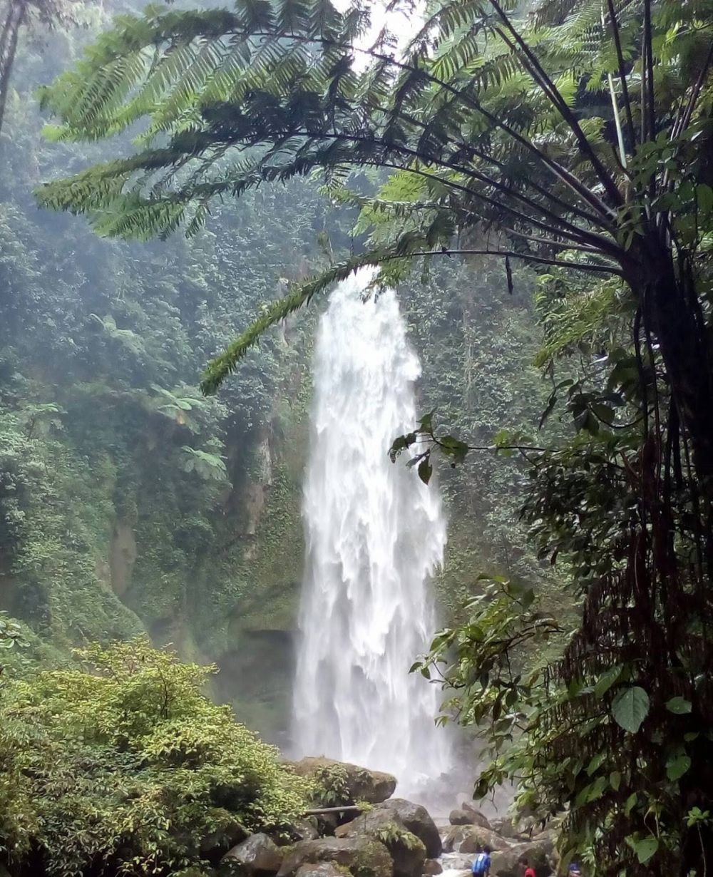 5 Tempat Wisata di Kabupaten Pesisir Barat, Wajib Bucket List Liburan!