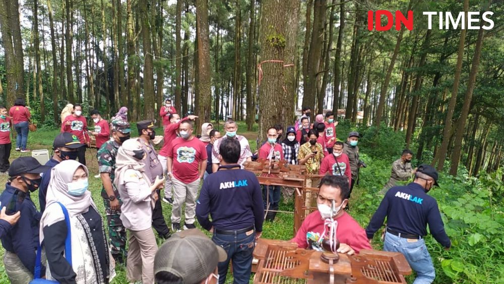 97 Burung Jalak Kerbau  Dilepasliarkan ke Gunung Ungaran