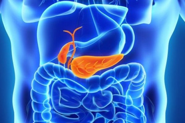 Cholangiocarcinoma: Jenis, Penyebab, Gejala, Diagnosis, Pengobatan