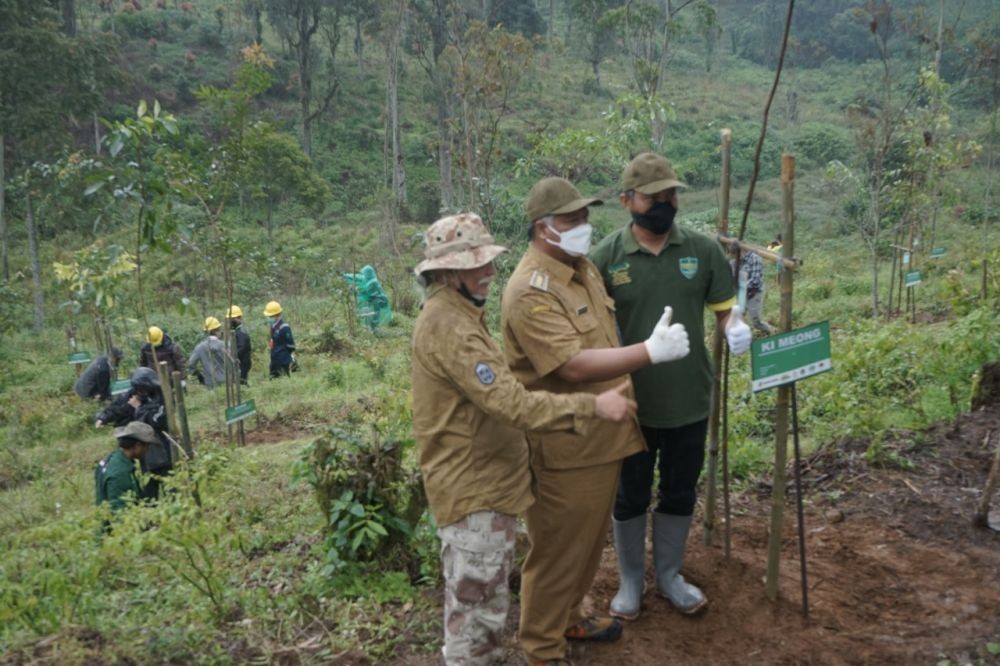 Jaga Kelestarian Primata, GeoDipa Lepas Liar Owa Jawa di Gunung Tilu