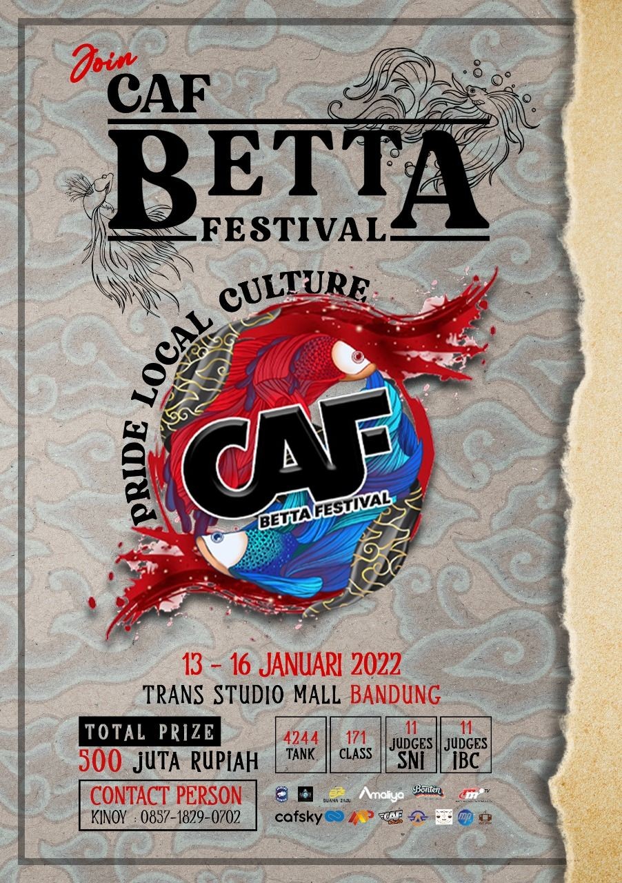 Berhadiah Rp500Juta, CAF Betta Festival Segera Digelar di Bandung