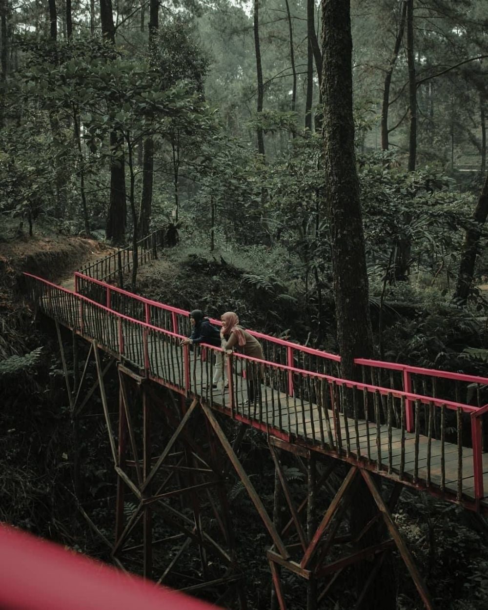 10 Tempat Wisata Bogor Terbaru yang Instagramable untuk Akhir Pekanmu