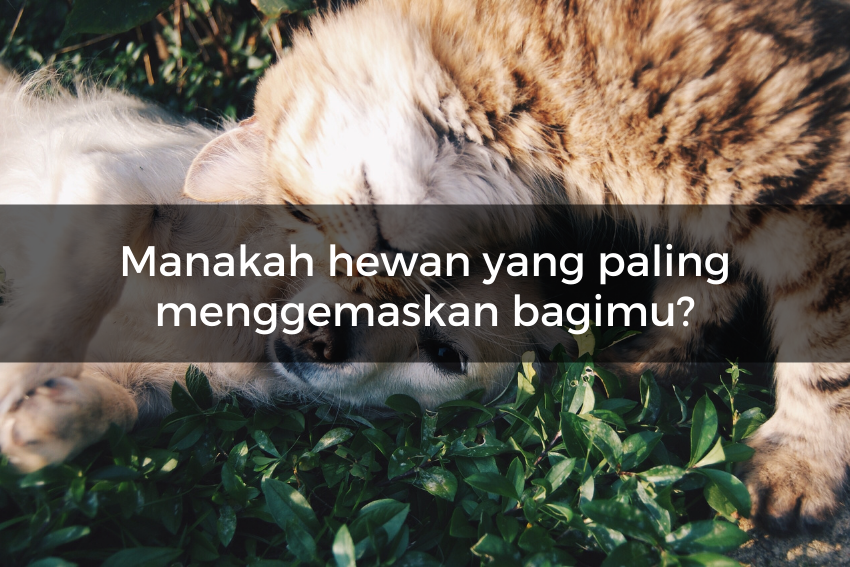 [QUIZ] Tes Psikologi untuk Mengetahui Tipe Perempuan Seperti Apa Dirimu