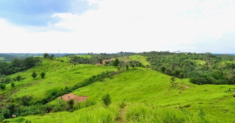 Berkunjung ke Dunia Teletubbies di Bukit Alpha Balikpapan