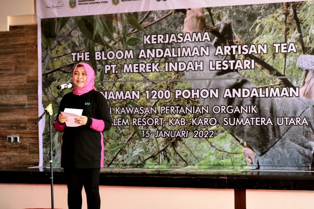 Rempah Khas Sumut, 1.200 Pohon Andaliman Ditanam di Karo
